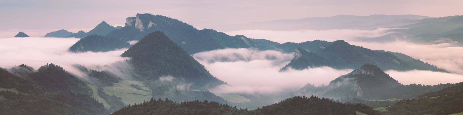 Pieniny national park at summer during morning inversion. This photo was taken from peak called Wysoki wirch (aka High peak) which is at Slovak / Poland borders. At distance you can see majestic Tri Koruny (aka Three crowns).
#nature