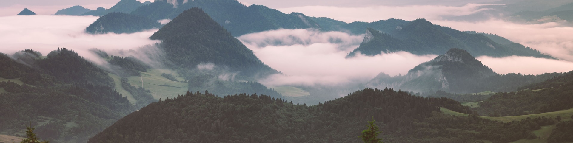 Pieniny national park at summer during morning inversion. This photo was taken from peak called Wysoki wirch (aka High peak) which is at Slovak / Poland borders. At distance you can see majestic Tri Koruny (aka Three crowns).
#nature