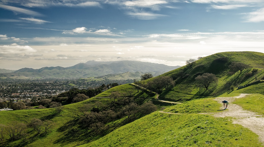 Mount Diablo from Acalanes Ridge, Lafayette, California