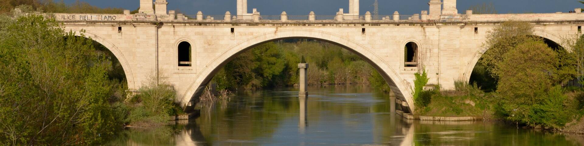 Reflections on the Tiber river, Rome, Italy. Flaminio bridge