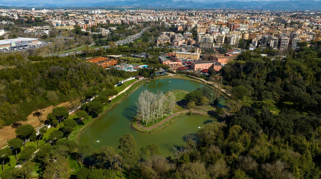 Aerial view of Villa Ada, a large public park in Rome, Italy. This large green area with a small lake is located in the northern area of the city, between the Parioli, Pinciano and Salario district.
