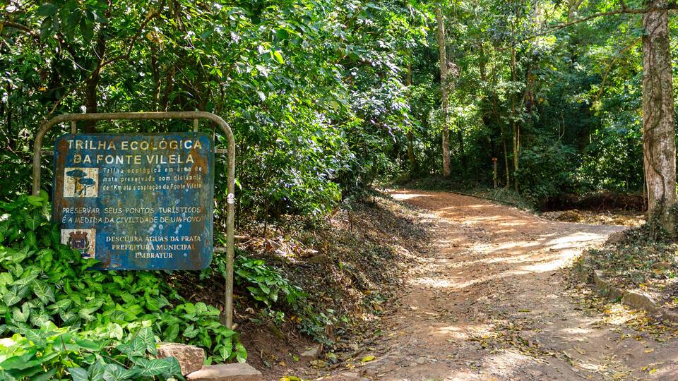 Trilha ecológica da Fonte Vilela em Águas da Prata - ÁGUAS DA PRATA, SP, BRAZIL - JULY 23, 2023: Fountain Vilela ecological trail that leads to the nascent of the fountain.