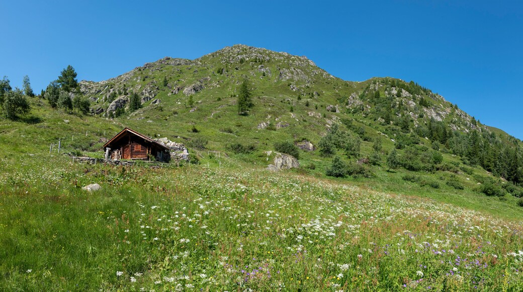 Landscape between Bellwald and Aspi-Titter suspension bridge