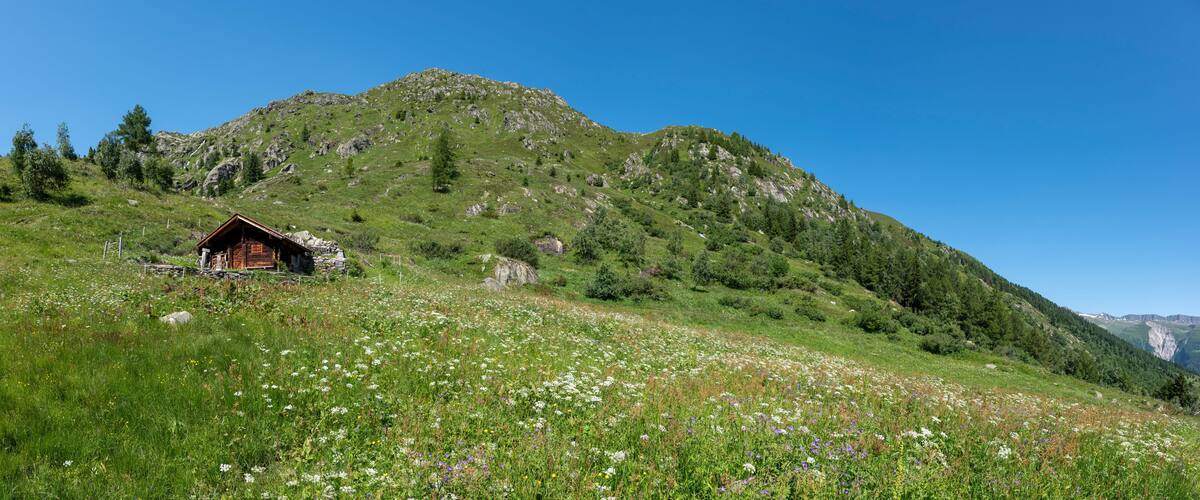A wooden cabin on a grassy hillside with a mountain in the background.