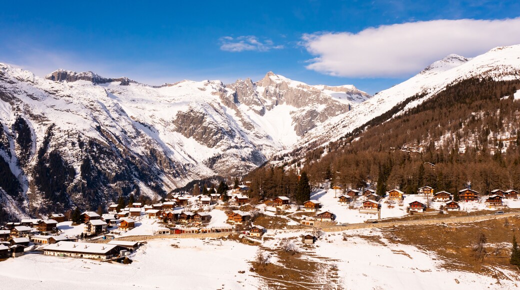 Townscape of Bellwald, Switzerland. View of residential buildings, forest and mountains.