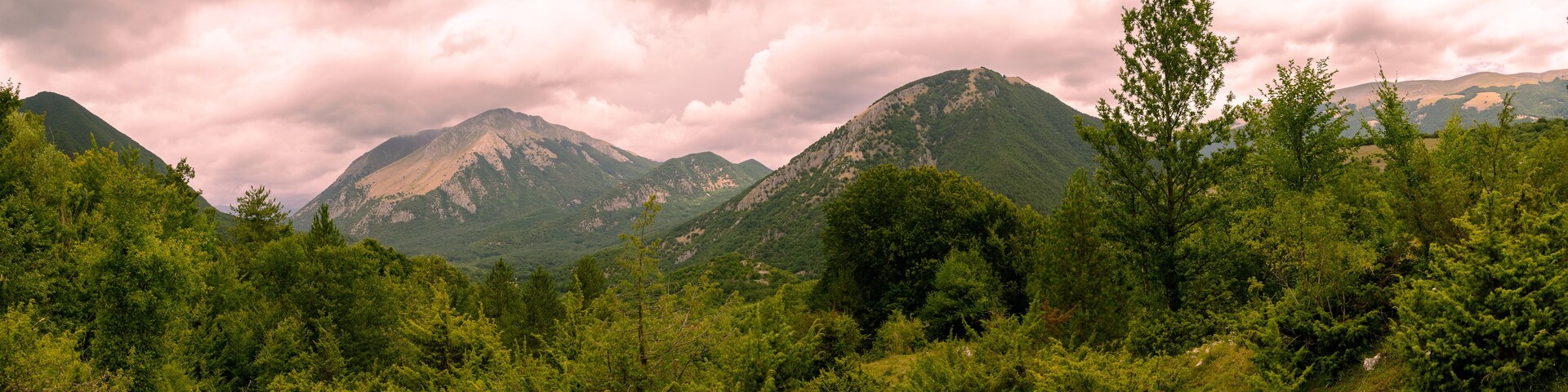 A mountainous landscape with dense forests and rocky peaks under a cloudy sky.