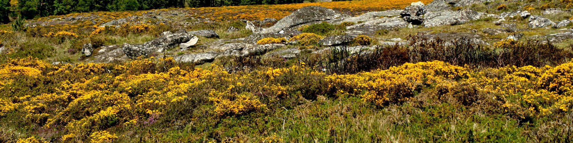 Trekking at the Geopark of Arouca, Portugal