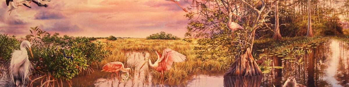 Everglades National Park which includes art
