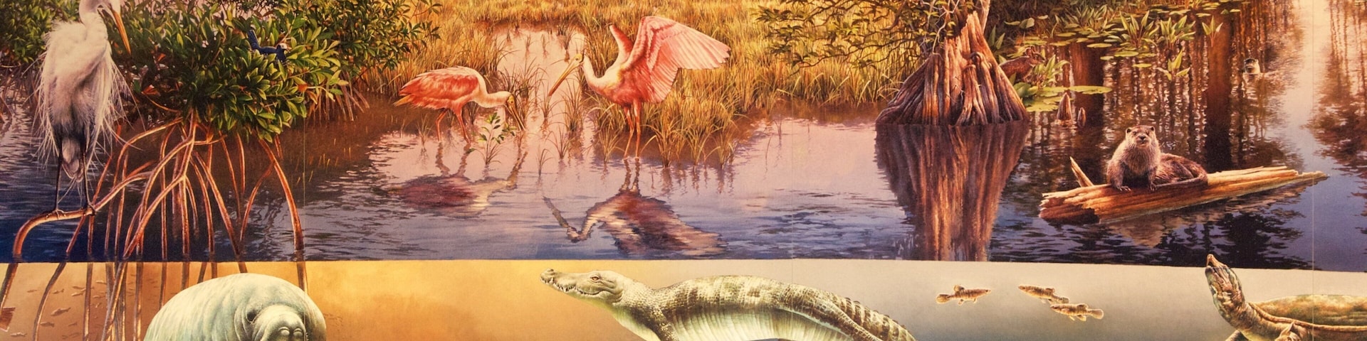Everglades National Park showing art
