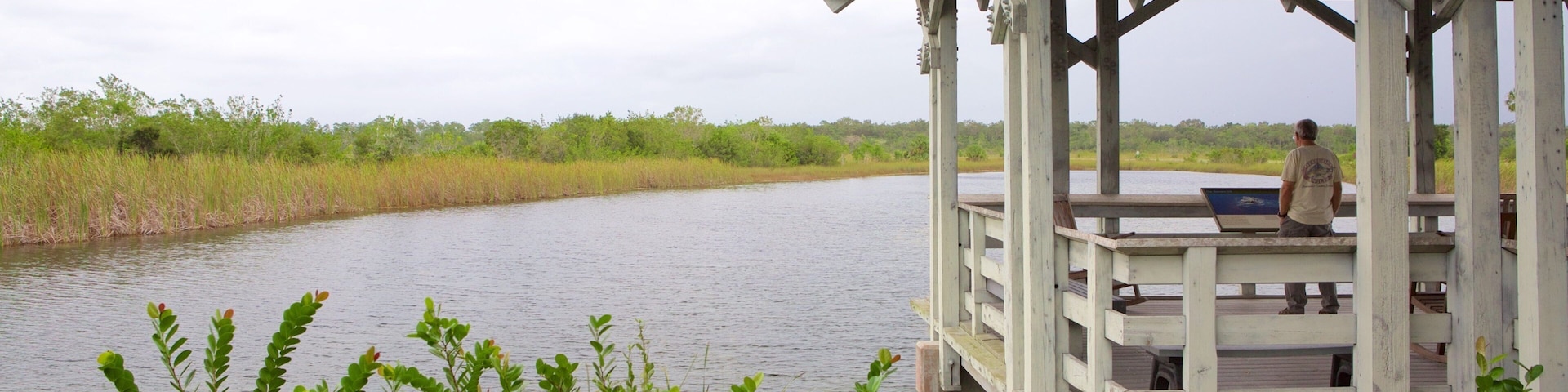 Ernest F. Coe Visitor Center featuring wetlands and views as well as an individual male