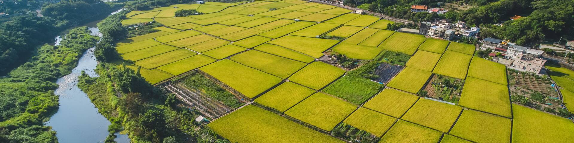 An aerial view of a terraced rice field with a river running alongside, surrounded by lush green hills and a small village.
