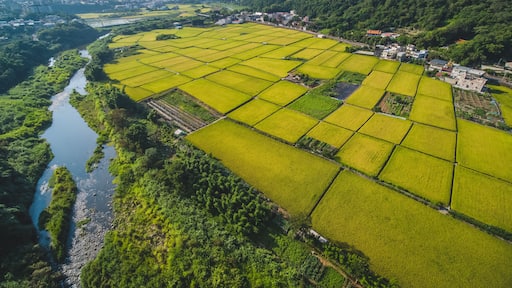 關西