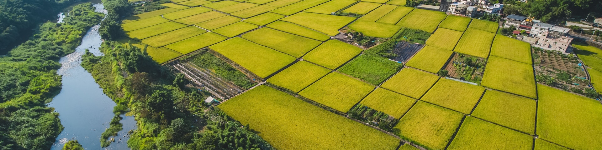 An aerial view of a terraced rice field with a river running alongside, surrounded by lush green hills and a small village.