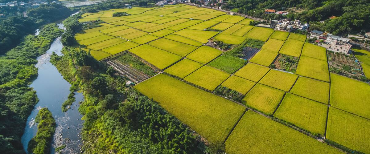 An aerial view of a terraced rice field with a river running alongside, surrounded by lush green hills and a small village.