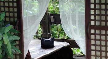 Surrounded by Flora and Lush Vegetation, It is a restaurant and hideaway retreat for anyone who wants to unwind and relax. It offers organic grown food and you are totally hidden from anything thats urban. #roadtrip