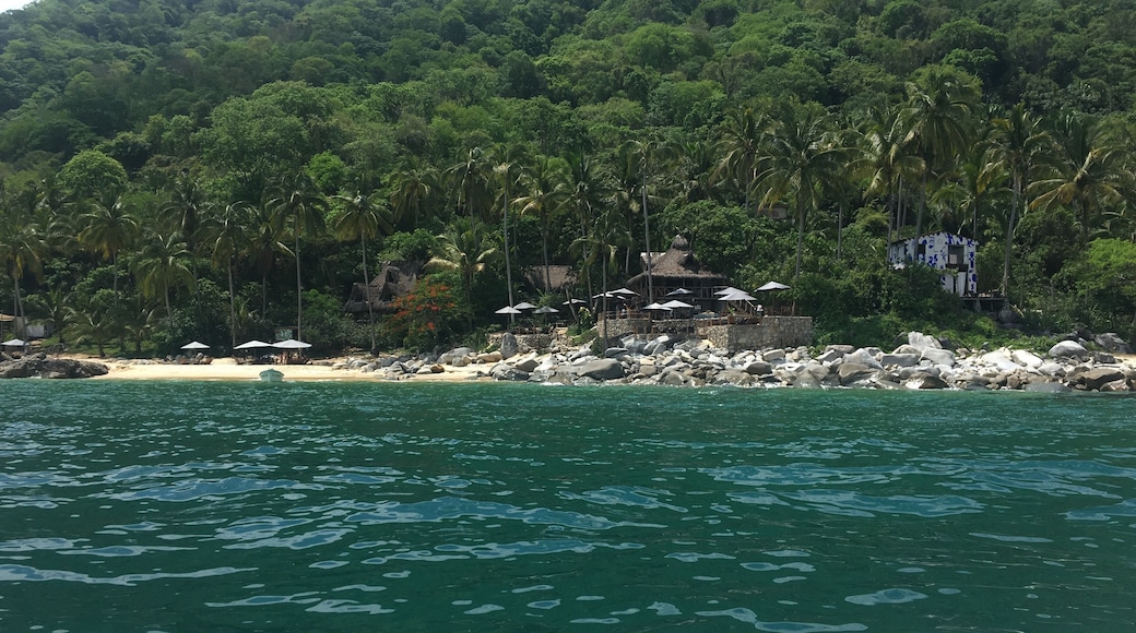 You never truly know what you might see when you set sail. Beautiful huts near a virgin beach? Clear waters and a mysterious jungle? Curious dolphins swimming along side the boat? Well, in Mexico we like to choose all of the above.
#LocalSecrets #mexico