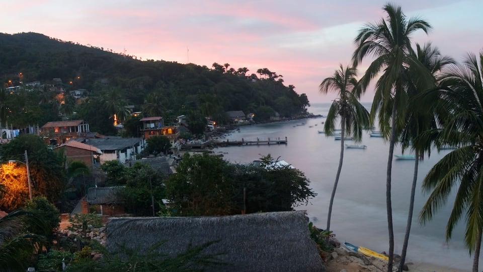 A coastal village with houses, palm trees, and boats on the water.