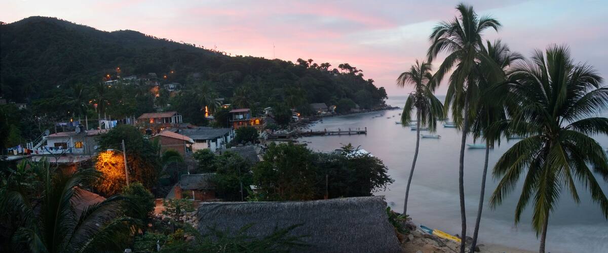 A coastal village with houses, palm trees, and boats on the water.