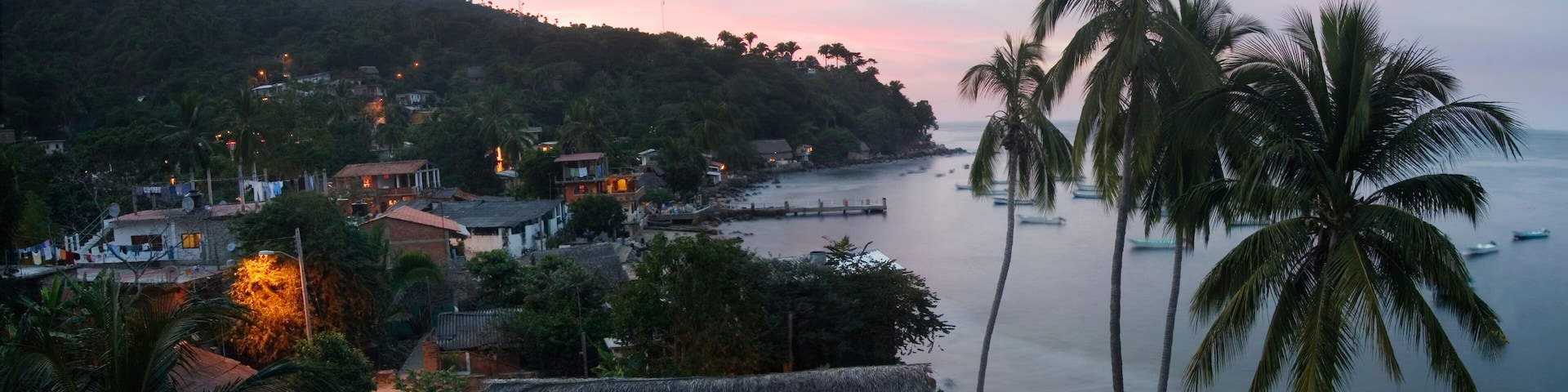 A coastal village with houses, palm trees, and boats on the water.