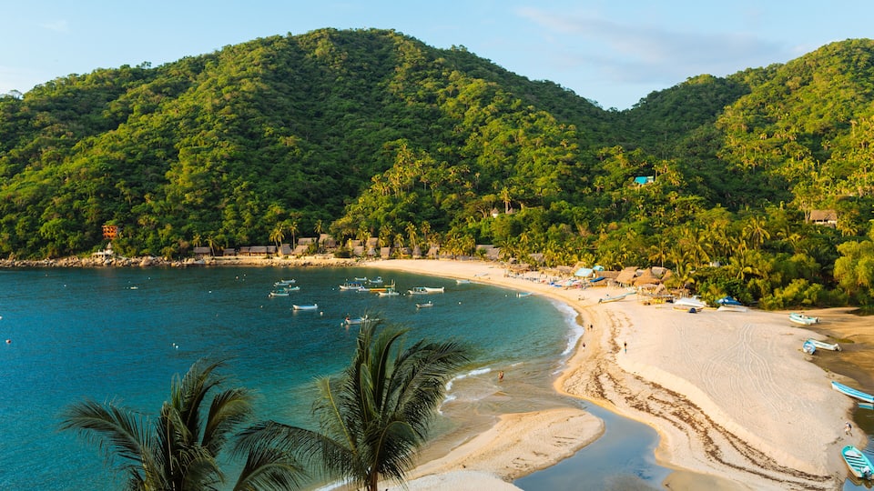 A tropical beach with clear turquoise waters, palm trees, and a mountainous backdrop.