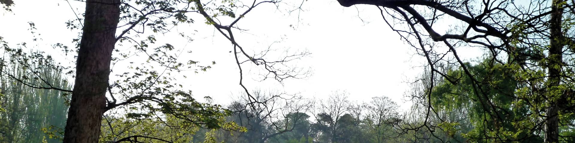 Le bois de Vincennes, avec le lac de Saint-Mandé