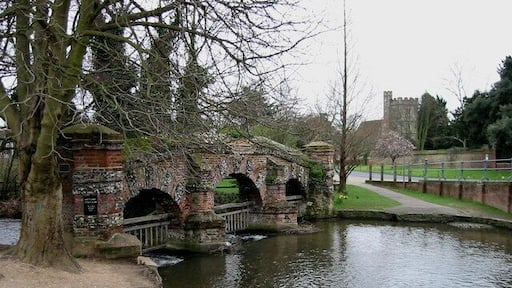 Farningham Ford With old cattle screen.