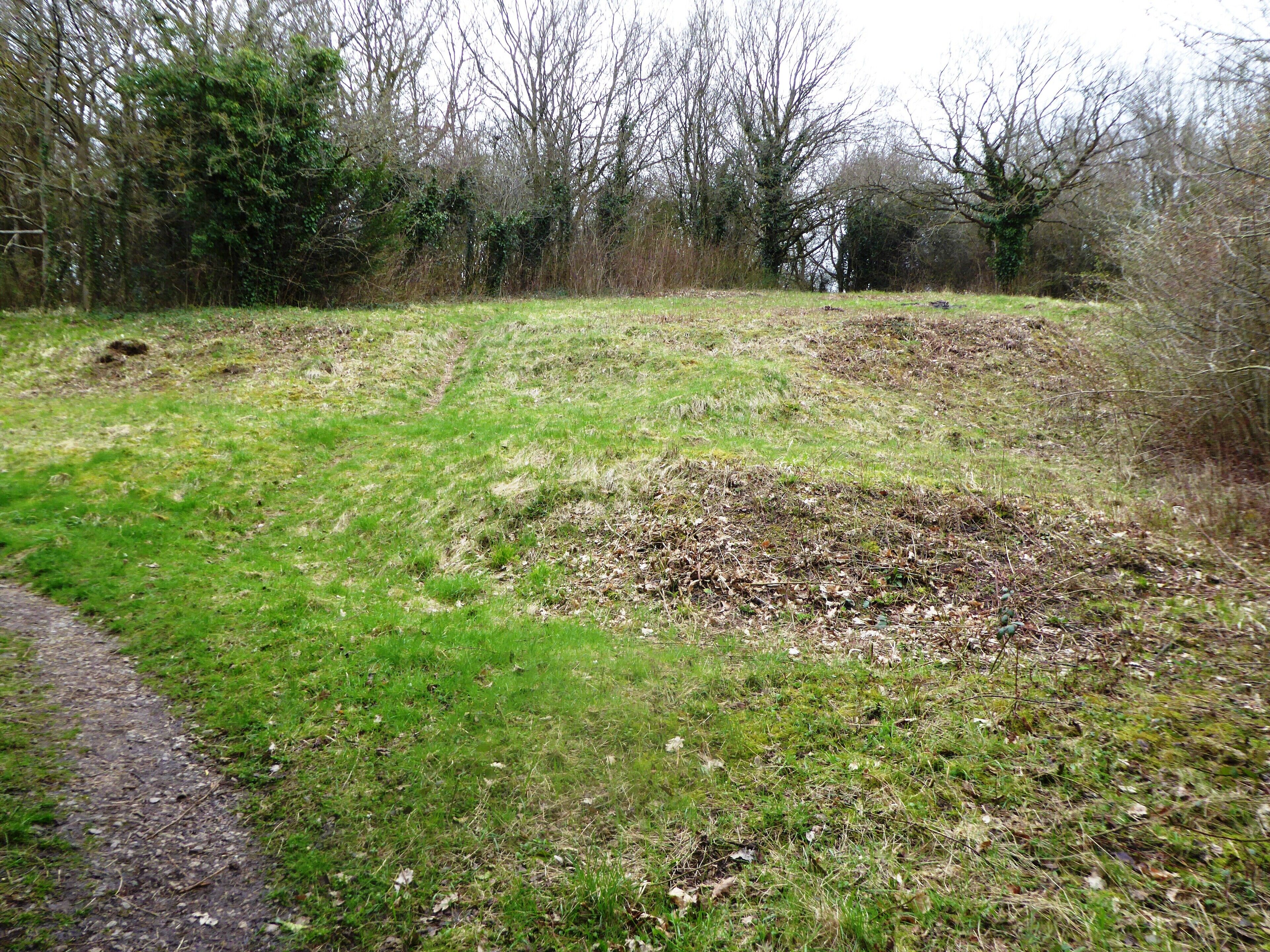 Longfield Chalk Bank is a nature reserve in Longfield in Kent. It is managed by the Kent Wildlife Trust.