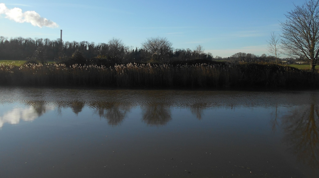 View southwest across the River Medway meadows near Aylesford.