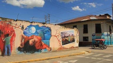 Tarapoto sits on the edge of the vast jungles of eastern Peru. It's the closest place you can fly to after your forays into the rainforests of the Amazon near Iquitos, in order to reconnect with Peru's road network.
There's a wonderfully laid-back vibe here, plenty of street art, local markets, as well as restaurants serving delicious regional specialities, and bars serving drinks made from soaking jungle roots in cane liquor.
If you come here, stay at El Mirador. There's a terrace with amazing jungle views and the breakfast they serve is probably one of the best I've eaten in Peru.
Read more about Tarapoto here:
http://galloparoundtheglobe.com/tarapoto-surprising-little-town/