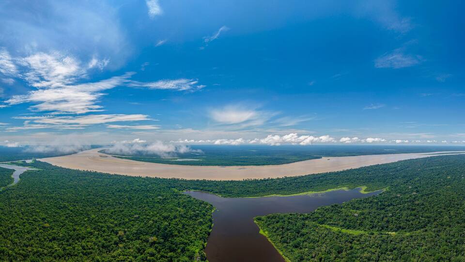 A river winding through a dense forest with a large river delta and a clear blue sky.