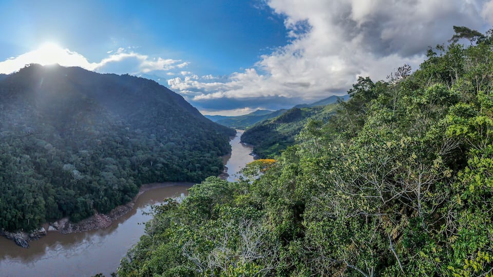 A river winding through a dense forest with mountains in the background.