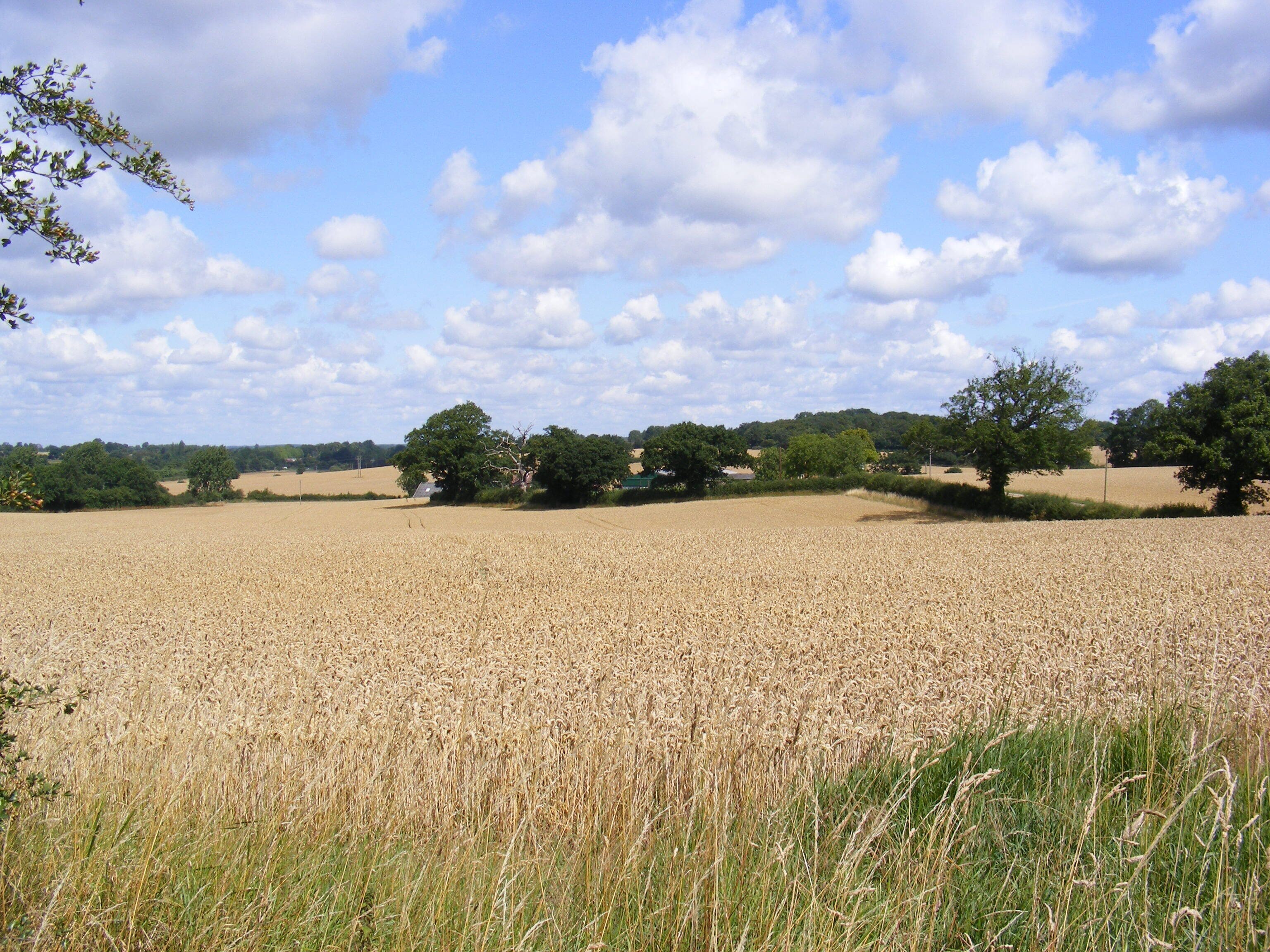 Farmland, Muttons Lane, Potter Bar Taken from near the Strafford Arms on the B556