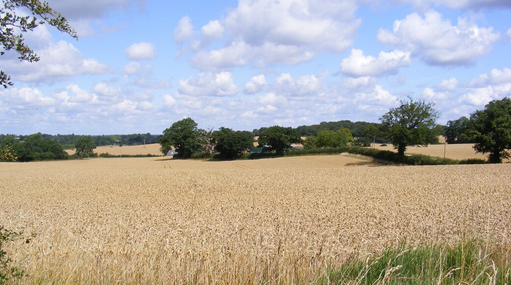 Farmland, Muttons Lane, Potter Bar Taken from near the Strafford Arms on the B556