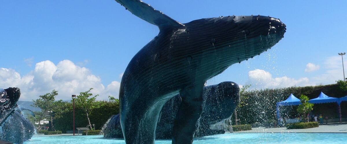 Marine Mammal Parade, National Museum of Marine Biology and Aquarium.