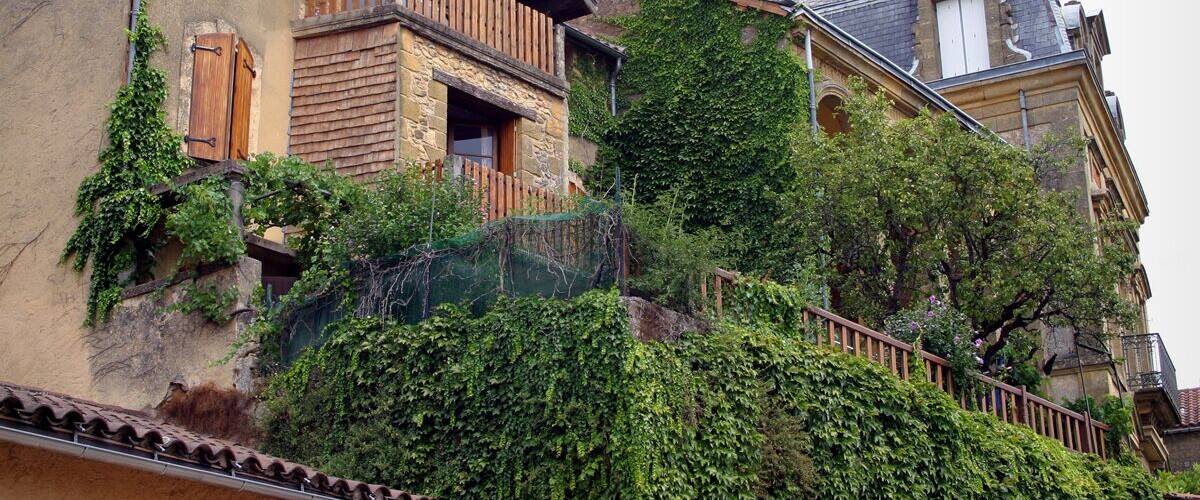 A building with a wooden balcony and ivy-covered walls.
