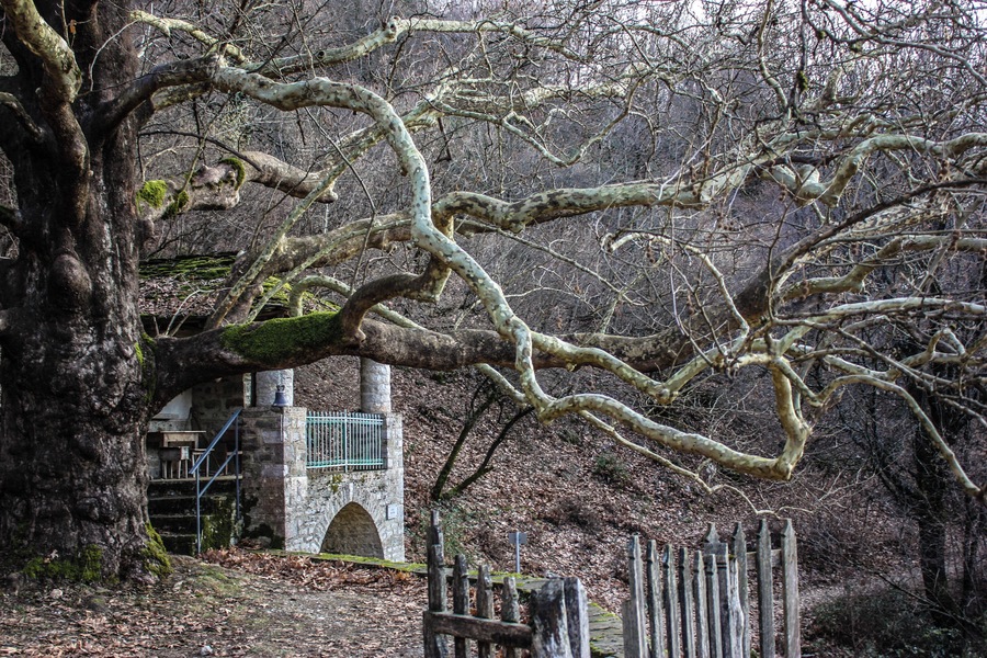 Papingo is a former community in the Ioannina regional unit, Epirus, Greece. Since the 2011 has become part of the municipality of Zagori. It is located in the Vikos–Aoös National Park