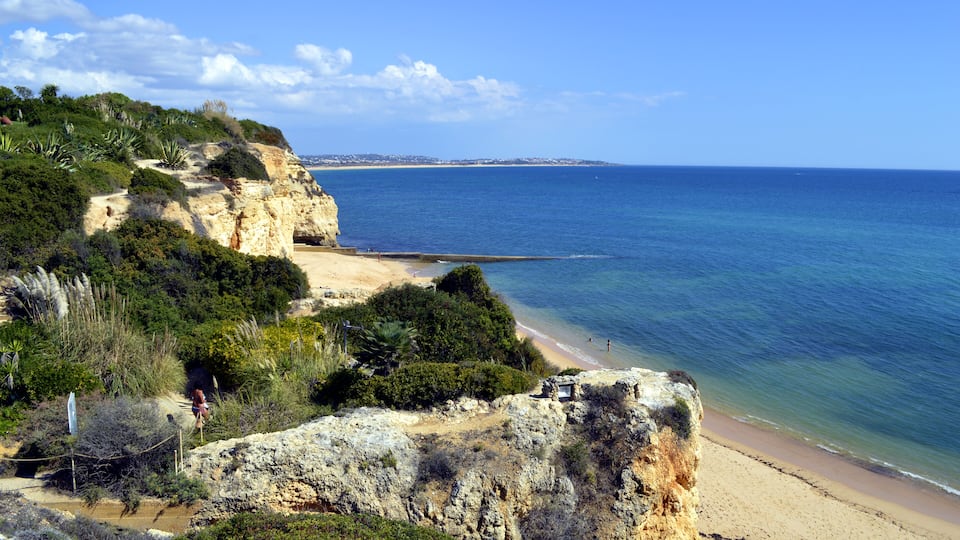 A coastal landscape with cliffs, a beach, and the ocean.