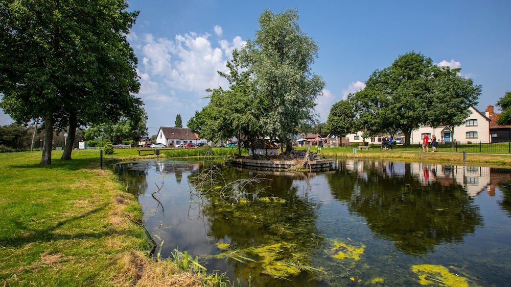 A calm pond with reflections of trees and houses, surrounded by grass and a clear sky.