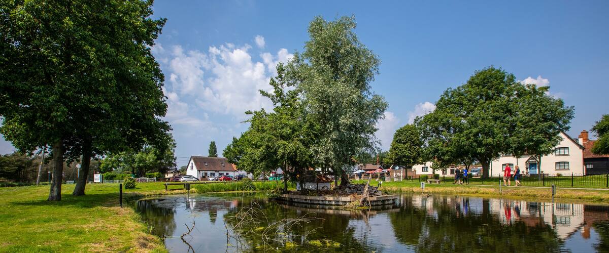 A calm pond with reflections of trees and houses, surrounded by grass and a clear sky.
