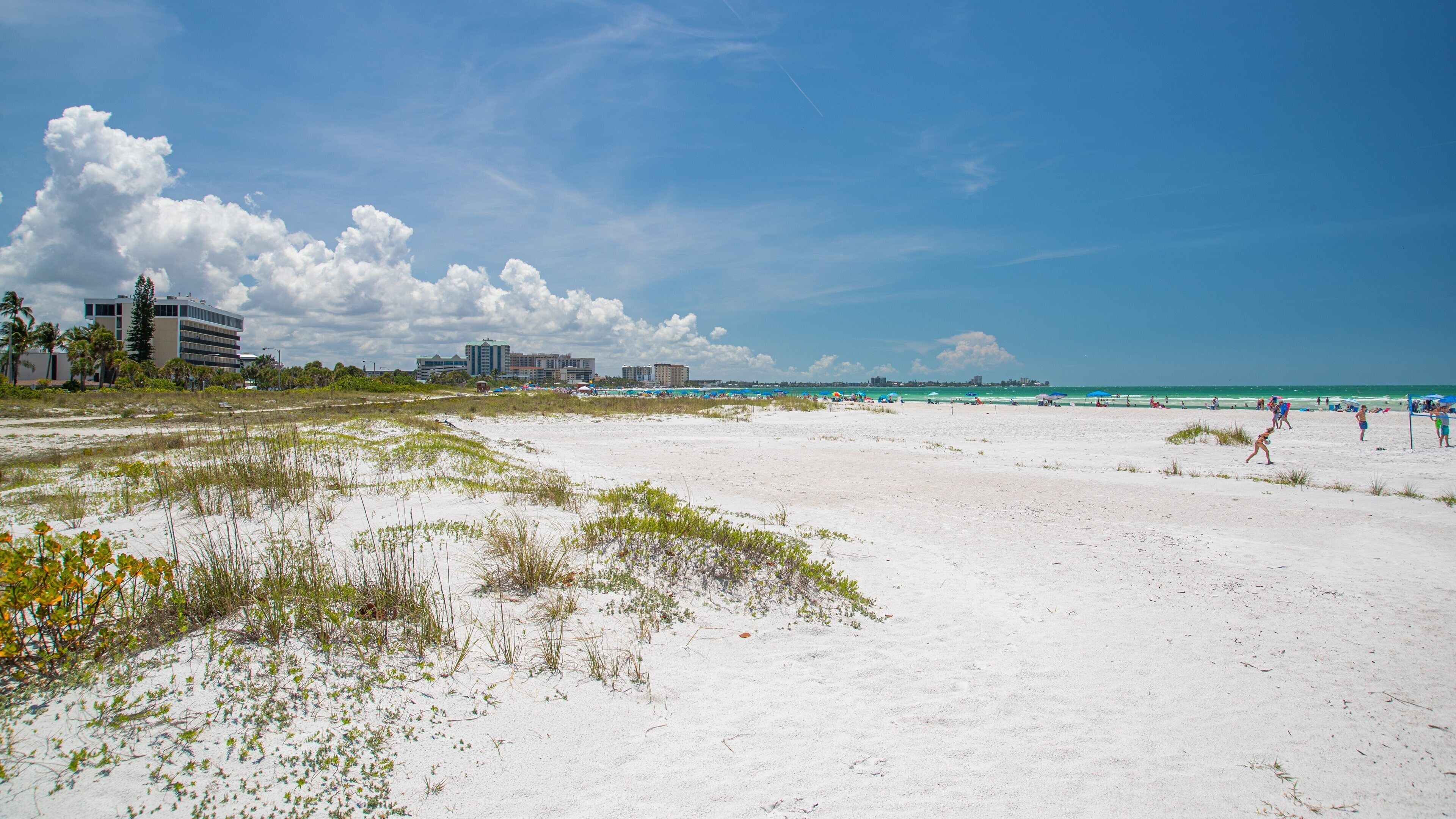 A sandy beach with palm trees, a clear blue sky, and a distant city skyline.