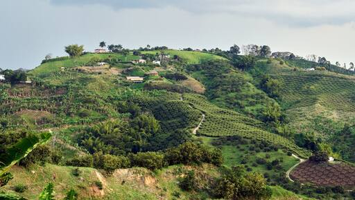 Panoramic view of the Eje Cafetero Caldense. Coffee mountains of Manizales and Chinchiná. Central Cordillera of Colombia.