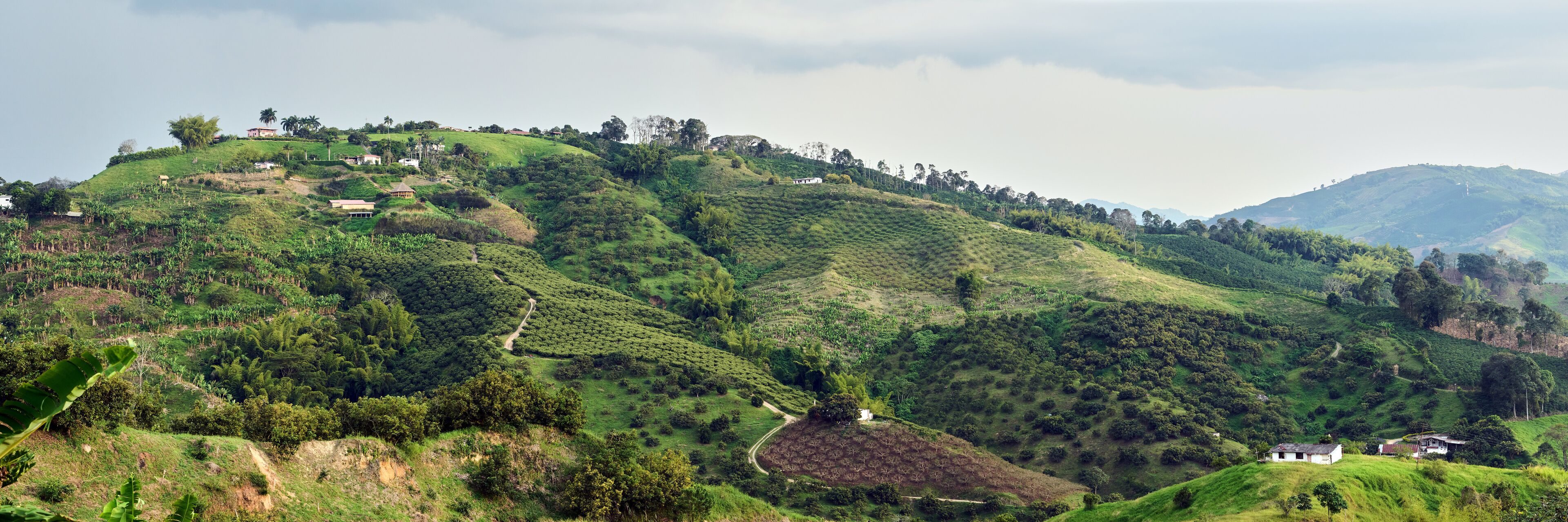 A lush green hilly landscape with scattered houses and a winding path.