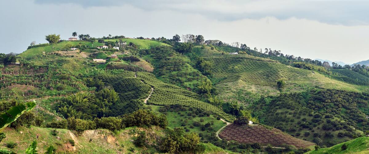 A lush green hilly landscape with scattered houses and a winding path.