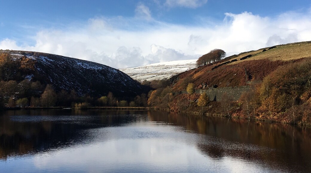 Lovely autumn colours and a sprinkling of snow in Yorkshire