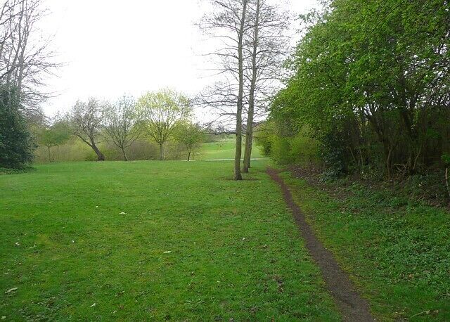 A grassy field with a dirt path leading through it, surrounded by trees and bushes.