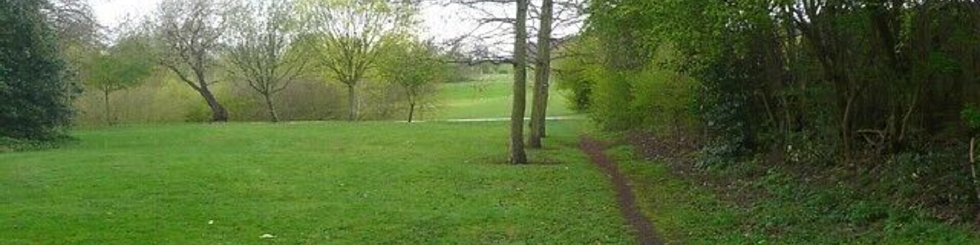 A grassy field with a dirt path leading through it, surrounded by trees and bushes.