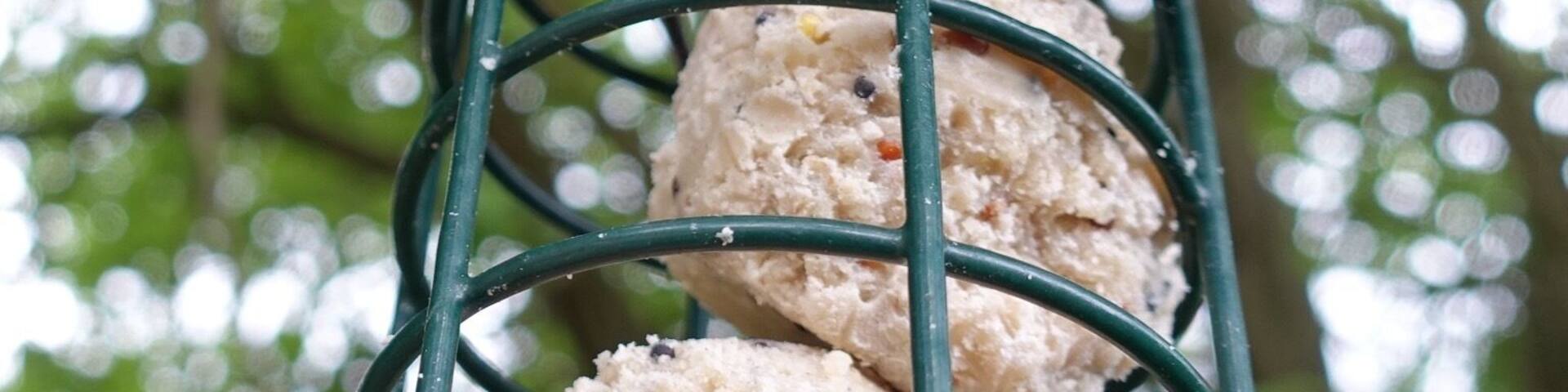 Please be aware if using bird feeders. This happened today - a young starling entered through the open top - I rescued & released the bird and have now covered the top so it doesn't happen again..