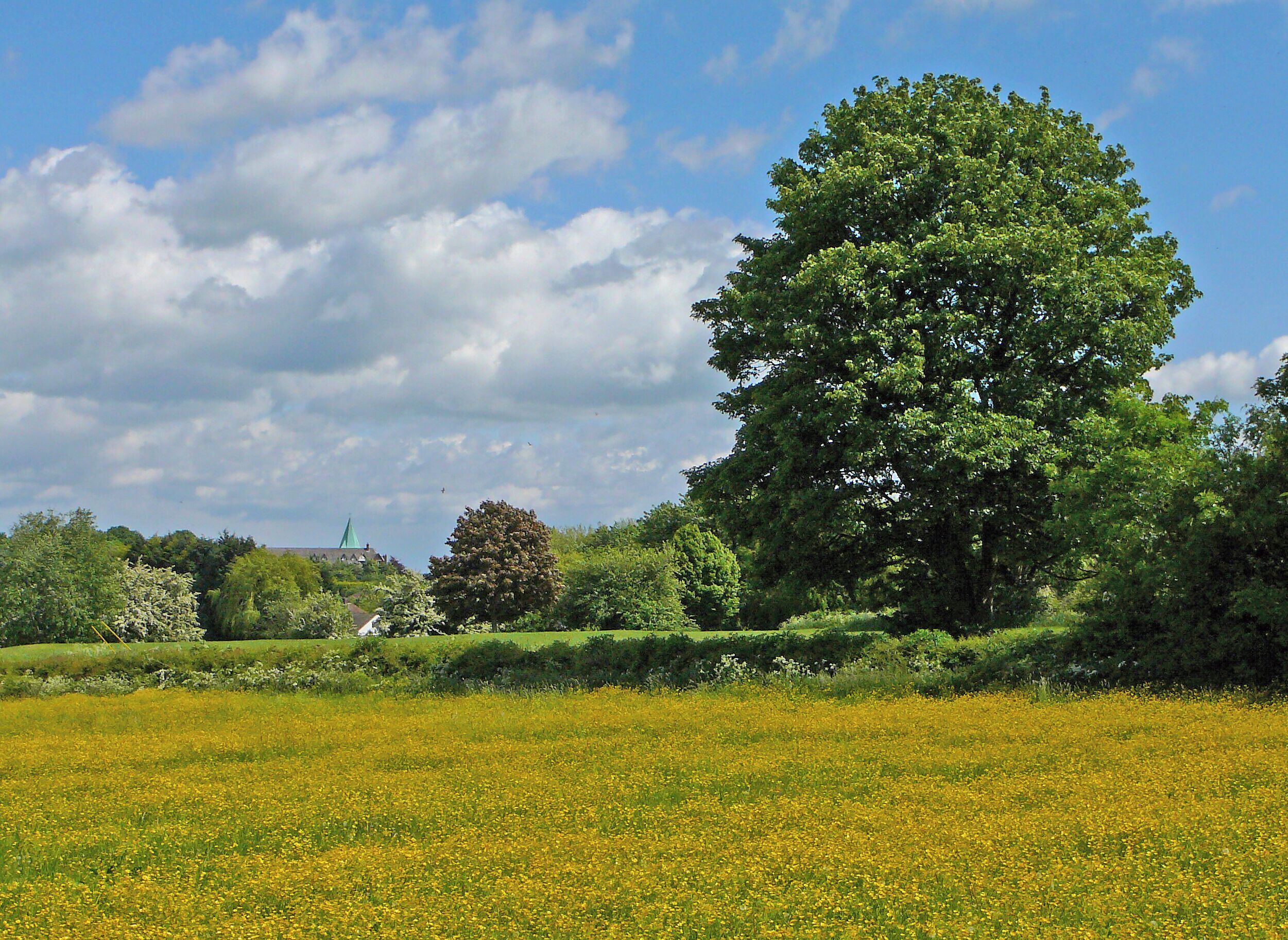 Field between Ossett and Horbury