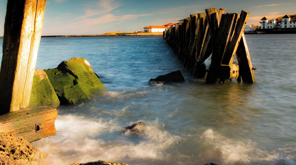 Lovely sunny afternoon after a wet and windy morning, so had to get out and play with camera.