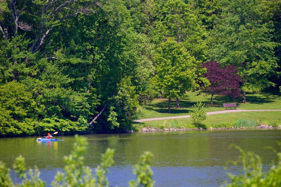 A kayaker on a calm lake surrounded by dense green trees and a park with a bench.